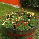 Petra Apartmanhaz Apartament