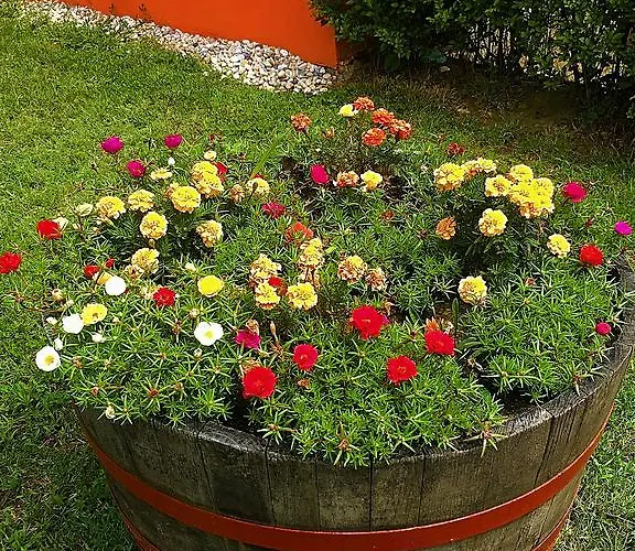 Petra Apartmanhaz Apartamento